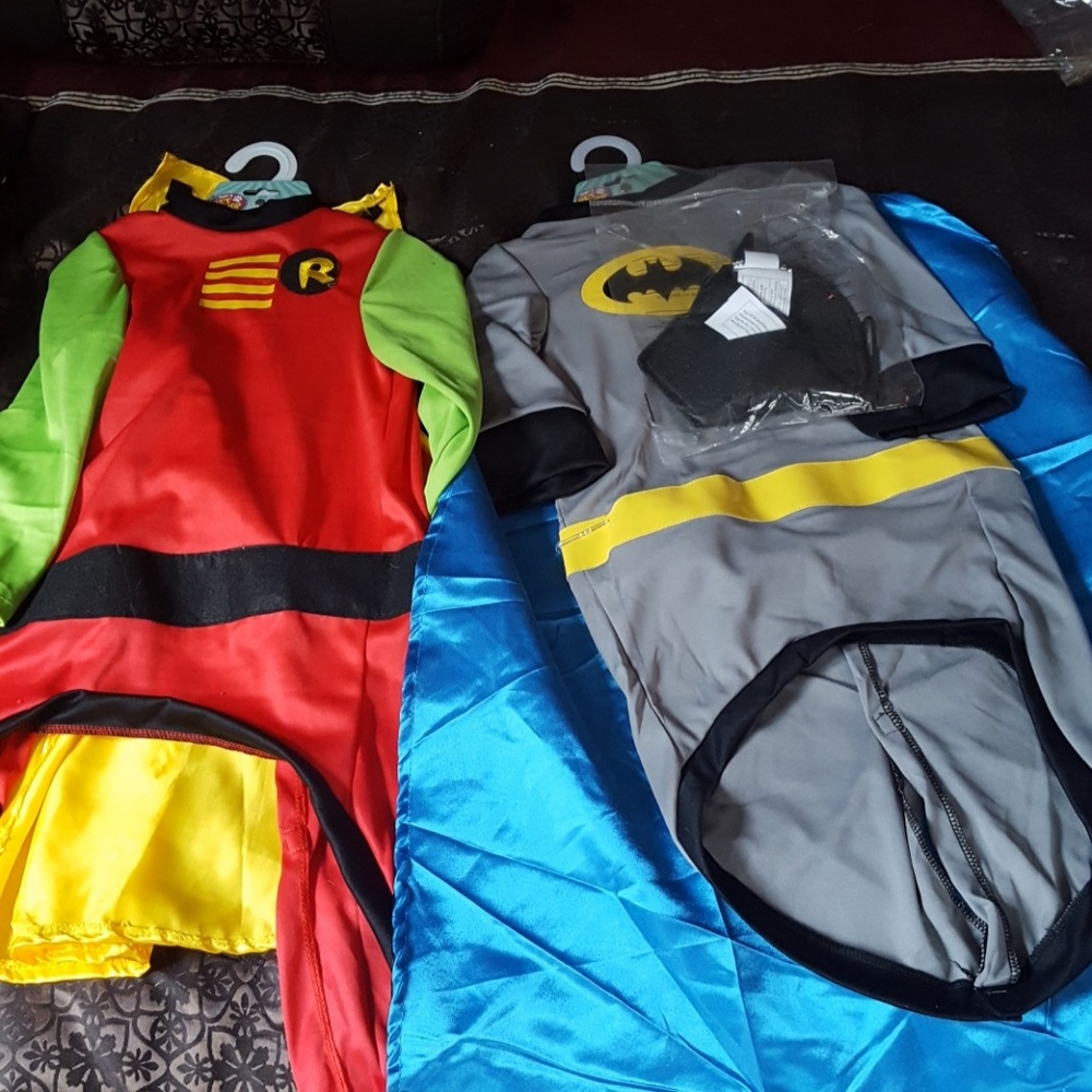 Batman and robin costumes